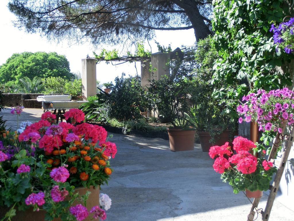 Il Limoneto Acireale Villa Eksteriør billede