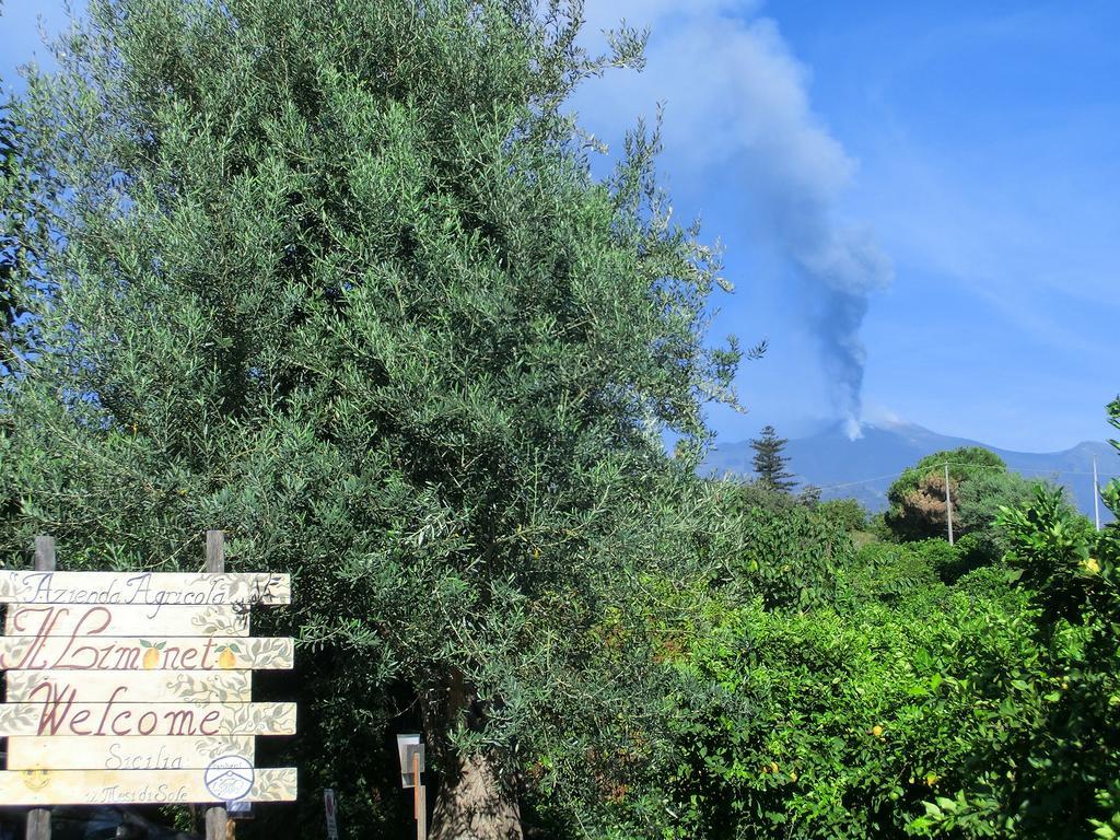 Il Limoneto Acireale Villa Eksteriør billede