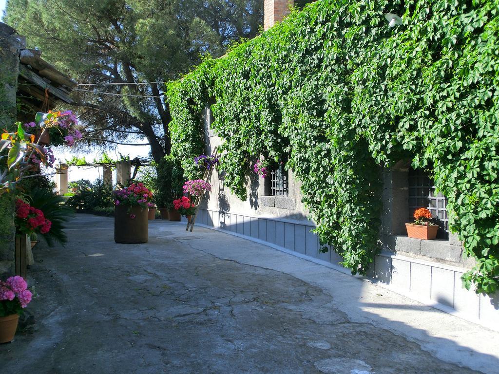 Il Limoneto Acireale Villa Eksteriør billede