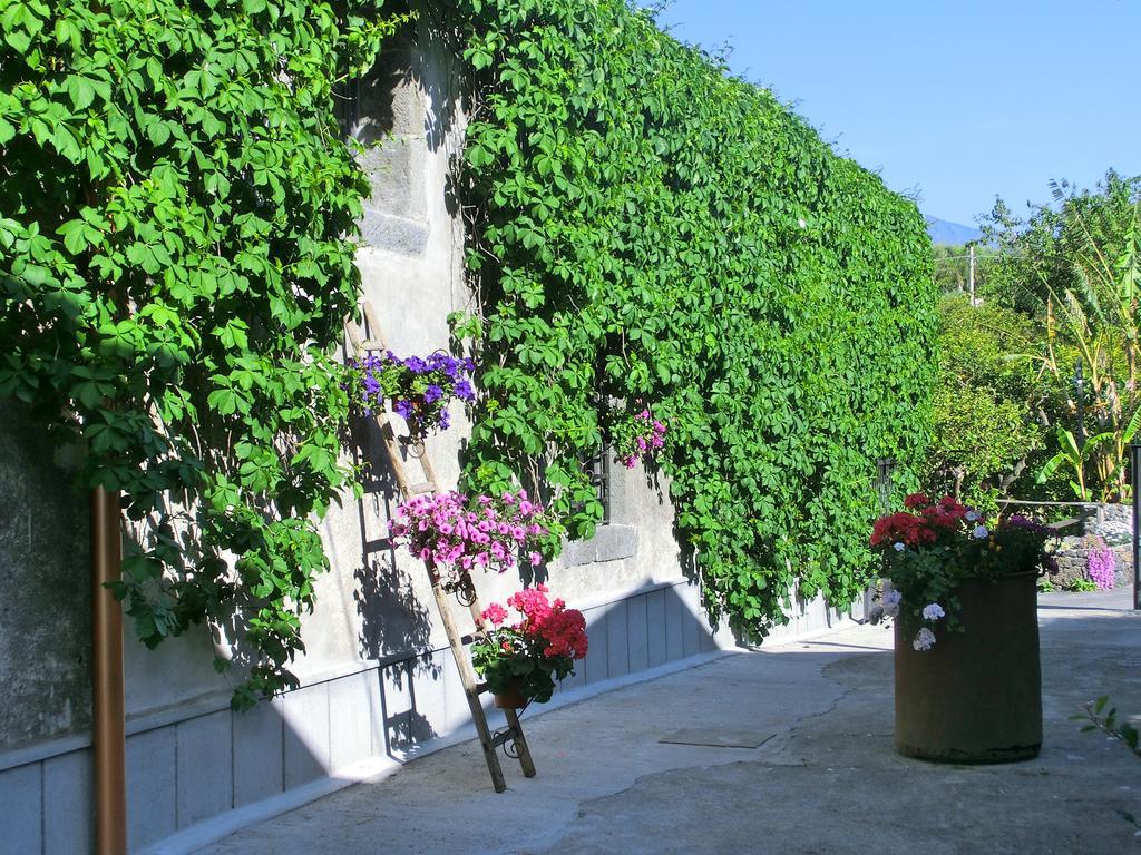 Il Limoneto Acireale Villa Eksteriør billede