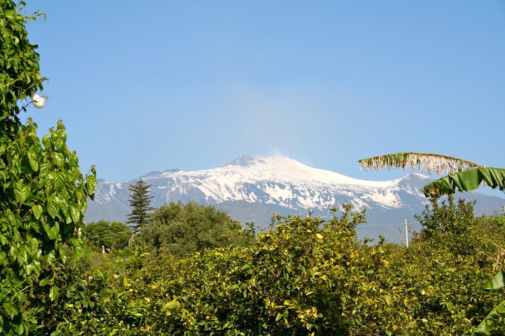 Il Limoneto Acireale Villa Eksteriør billede