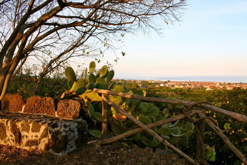 Il Limoneto Acireale Villa Eksteriør billede