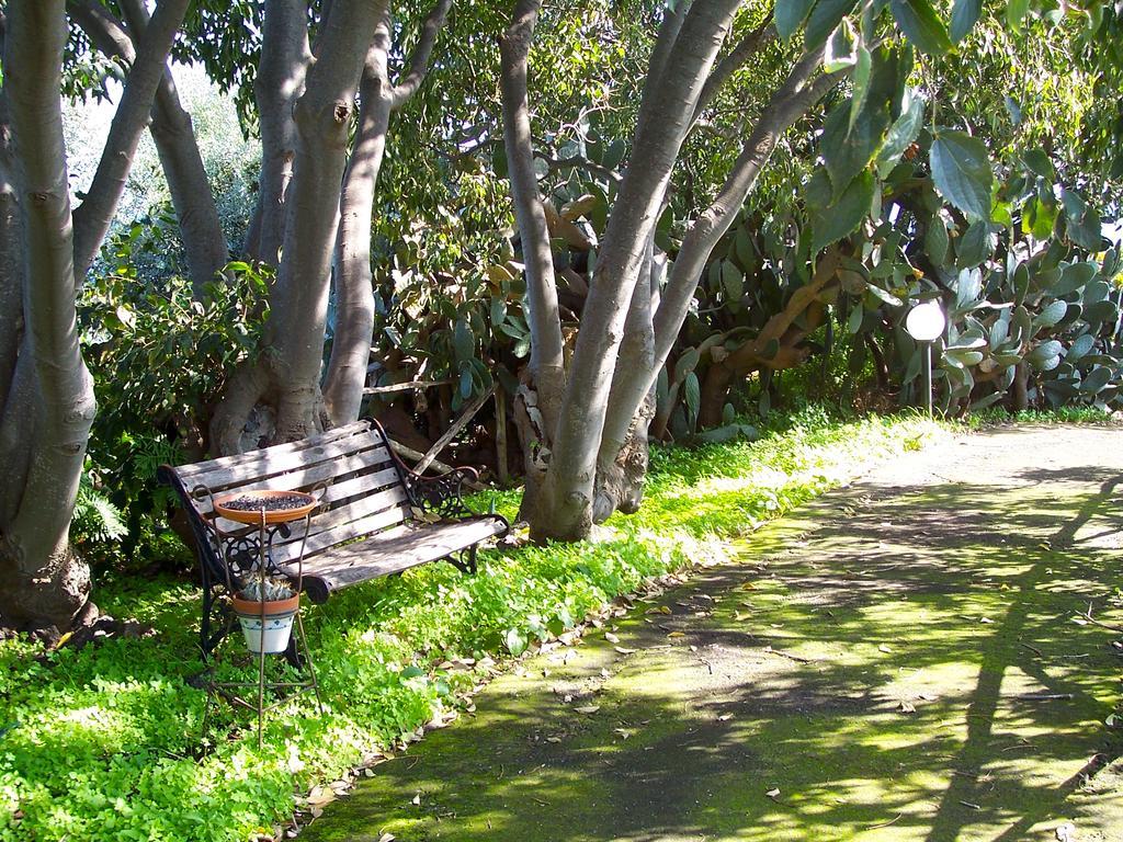 Il Limoneto Acireale Villa Eksteriør billede