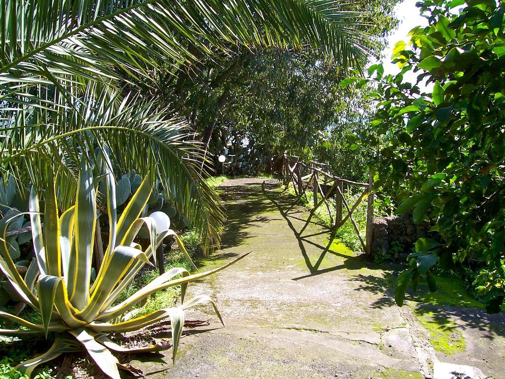 Il Limoneto Acireale Villa Eksteriør billede