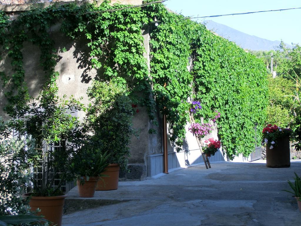 Il Limoneto Acireale Villa Eksteriør billede